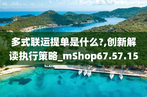 多式联运提单是什么?,创新解读执行策略_mShop67.57.15