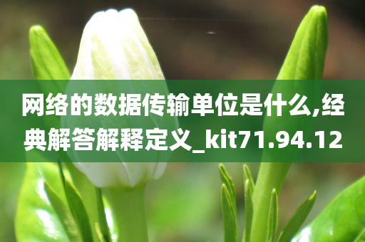 网络的数据传输单位是什么,经典解答解释定义_kit71.94.12