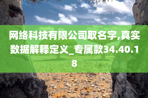 网络科技有限公司取名字,真实数据解释定义_专属款34.40.18