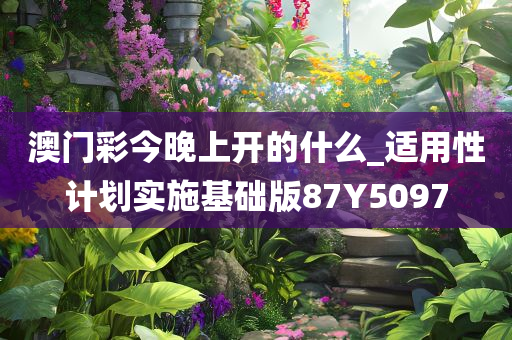 澳门彩今晚上开的什么_适用性计划实施基础版87Y5097