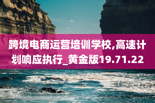 跨境电商运营培训学校,高速计划响应执行_黄金版19.71.22