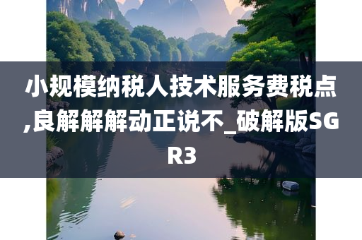 小规模纳税人技术服务费税点,良解解解动正说不_破解版SGR3