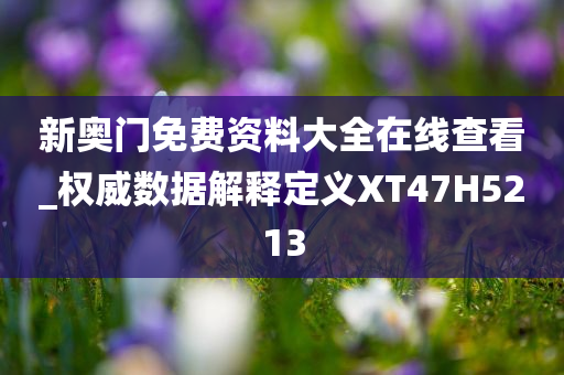 新奥门免费资料大全在线查看_权威数据解释定义XT47H5213