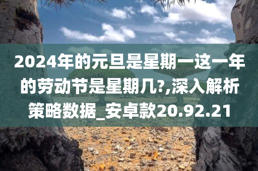 2024年的元旦是星期一这一年的劳动节是星期几?,深入解析策略数据_安卓款20.92.21