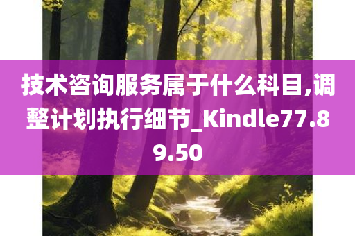 技术咨询服务属于什么科目,调整计划执行细节_Kindle77.89.50