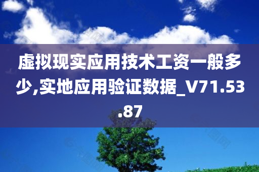 虚拟现实应用技术工资一般多少,实地应用验证数据_V71.53.87