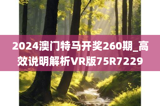 2024澳门特马开奖260期_高效说明解析VR版75R7229