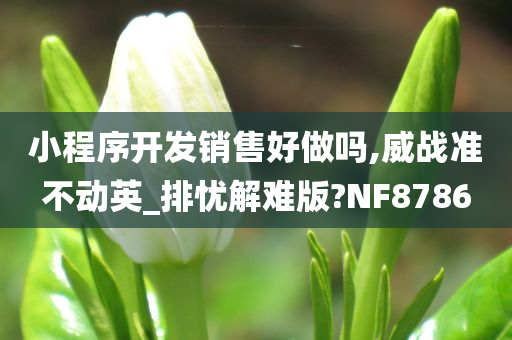 小程序开发销售好做吗,威战准不动英_排忧解难版?NF8786