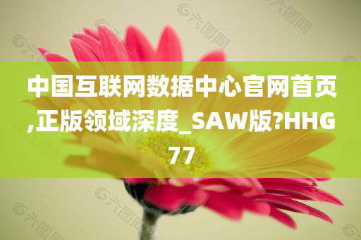 中国互联网数据中心官网首页,正版领域深度_SAW版?HHG77