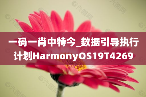 一码一肖中特今_数据引导执行计划HarmonyOS19T4269