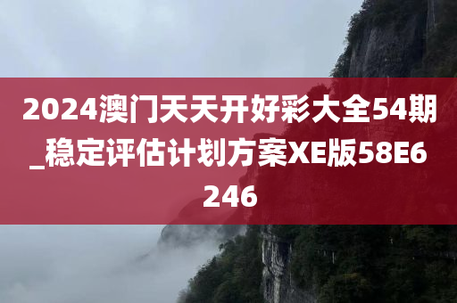 2024澳门天天开好彩大全54期_稳定评估计划方案XE版58E6246