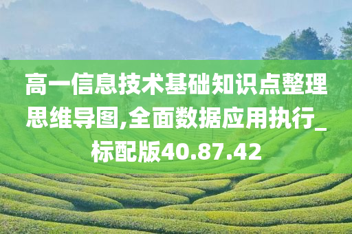 高一信息技术基础知识点整理思维导图,全面数据应用执行_标配版40.87.42