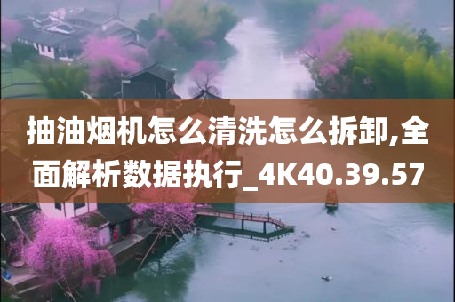 抽油烟机怎么清洗怎么拆卸,全面解析数据执行_4K40.39.57