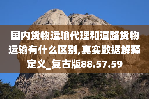 国内货物运输代理和道路货物运输有什么区别,真实数据解释定义_复古版88.57.59