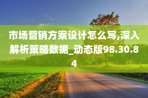 市场营销方案设计怎么写,深入解析策略数据_动态版98.30.84