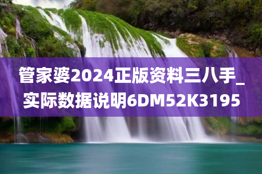 管家婆2024正版资料三八手_实际数据说明6DM52K3195