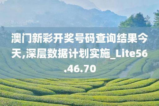 澳门新彩开奖号码查询结果今天,深层数据计划实施_Lite56.46.70