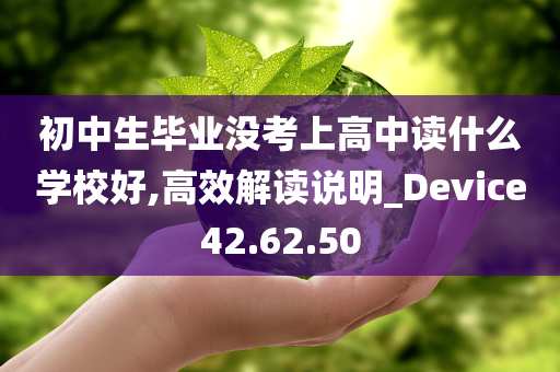 初中生毕业没考上高中读什么学校好,高效解读说明_Device42.62.50