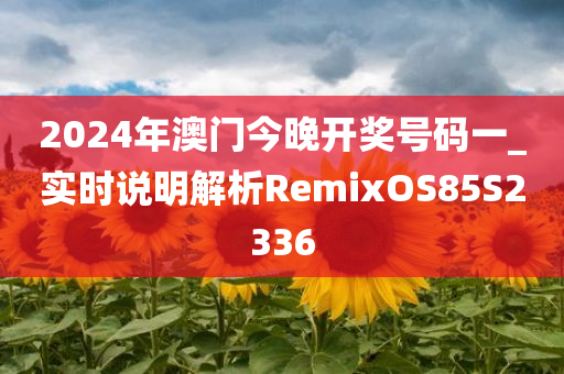 2024年澳门今晚开奖号码一_实时说明解析RemixOS85S2336