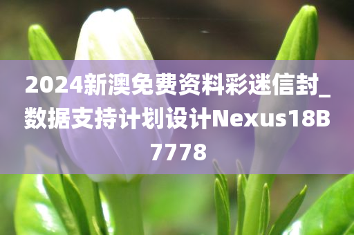 2024新澳免费资料彩迷信封_数据支持计划设计Nexus18B7778