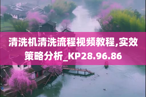 清洗机清洗流程视频教程,实效策略分析_KP28.96.86