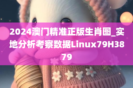 2024澳门精准正版生肖图_实地分析考察数据Linux79H3879