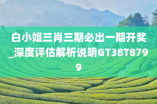 白小姐三肖三期必出一期开奖_深度评估解析说明GT38T8799