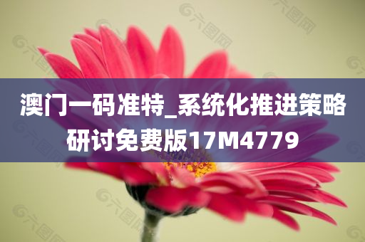 澳门一码准特_系统化推进策略研讨免费版17M4779