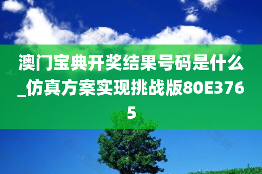 澳门宝典开奖结果号码是什么_仿真方案实现挑战版80E3765