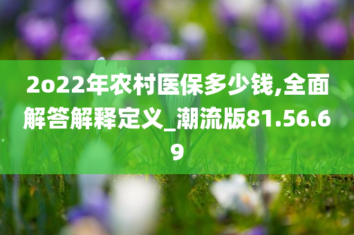 2o22年农村医保多少钱,全面解答解释定义_潮流版81.56.69