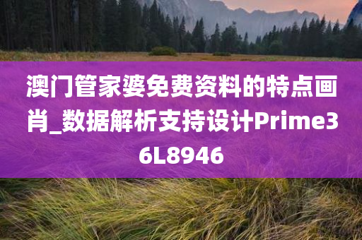 澳门管家婆免费资料的特点画肖_数据解析支持设计Prime36L8946