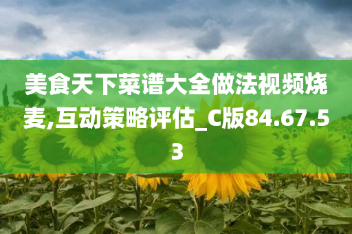 美食天下菜谱大全做法视频烧麦,互动策略评估_C版84.67.53