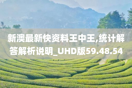 新澳最新快资料王中王,统计解答解析说明_UHD版59.48.54