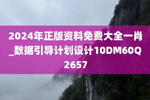 2024年正版资料免费大全一肖_数据引导计划设计10DM60Q2657