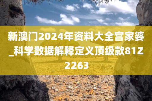 新澳门2024年资料大全宫家婆_科学数据解释定义顶级款81Z2263