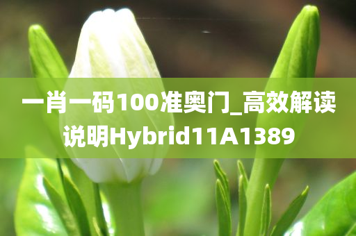 一肖一码100准奥门_高效解读说明Hybrid11A1389