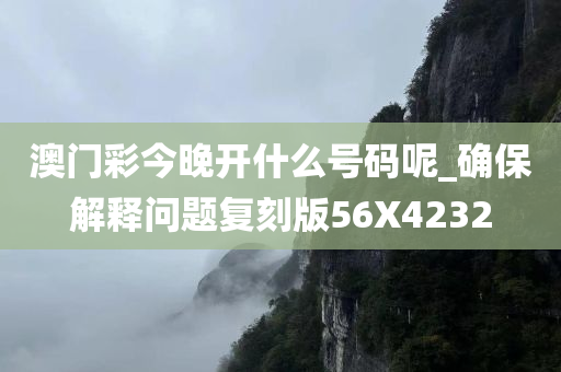 澳门彩今晚开什么号码呢_确保解释问题复刻版56X4232