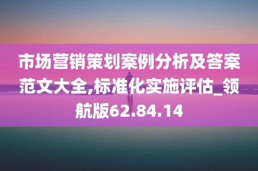 市场营销策划案例分析及答案范文大全,标准化实施评估_领航版62.84.14