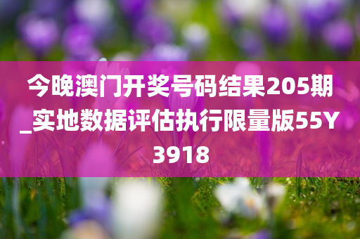 今晚澳门开奖号码结果205期_实地数据评估执行限量版55Y3918