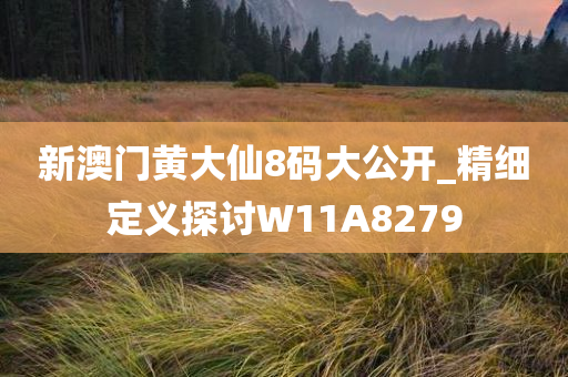 新澳门黄大仙8码大公开_精细定义探讨W11A8279