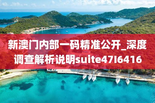 新澳门内部一码精准公开_深度调查解析说明suite47I6416