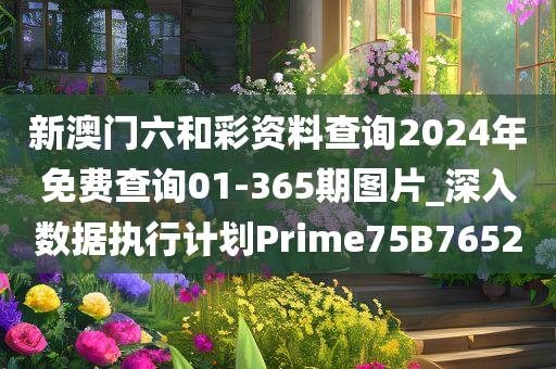 新澳门六和彩资料查询2024年免费查询01-365期图片_深入数据执行计划Prime75B7652