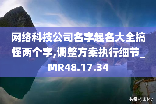 网络科技公司名字起名大全搞怪两个字,调整方案执行细节_MR48.17.34