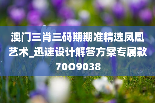 澳门三肖三码期期准精选凤凰艺术_迅速设计解答方案专属款70O9038