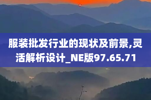 服装批发行业的现状及前景,灵活解析设计_NE版97.65.71