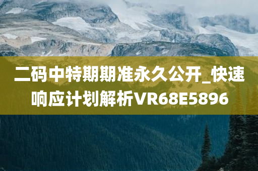 二码中特期期准永久公开_快速响应计划解析VR68E5896