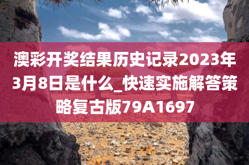 澳彩开奖结果历史记录2023年3月8日是什么_快速实施解答策略复古版79A1697