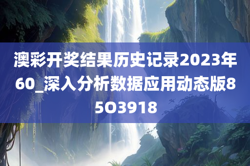 澳彩开奖结果历史记录2023年60_深入分析数据应用动态版85O3918