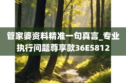 管家婆资料精准一句真言_专业执行问题尊享款36E5812