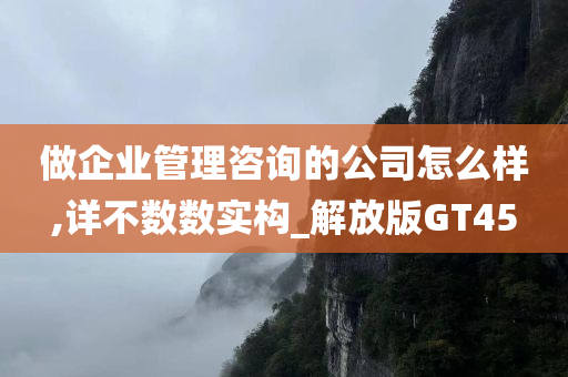 做企业管理咨询的公司怎么样,详不数数实构_解放版GT45